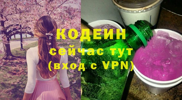хмурый Куйбышев